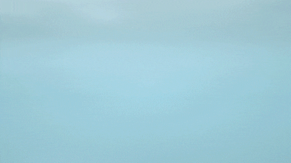 역류 방지를 위한 차단 시스템